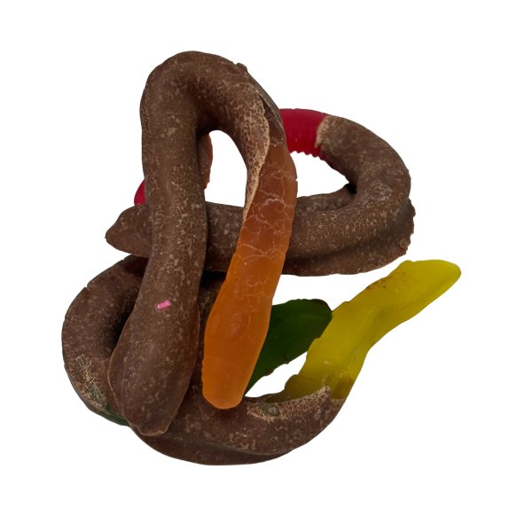 Choc Dipped Milk Chocolate Snakes - Pack of 4